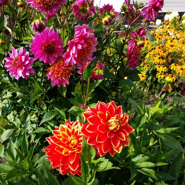 превью изображения отзыва