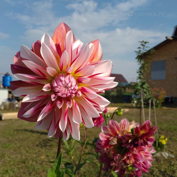 превью изображения отзыва