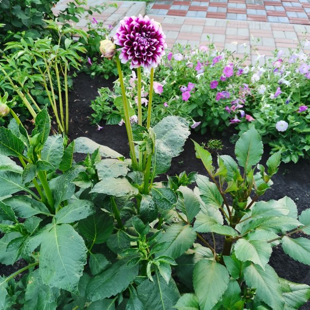 превью изображения отзыва