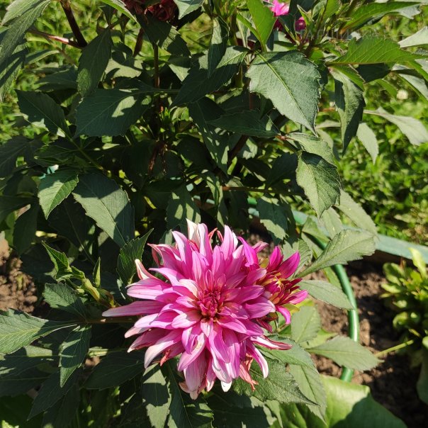 превью изображения отзыва