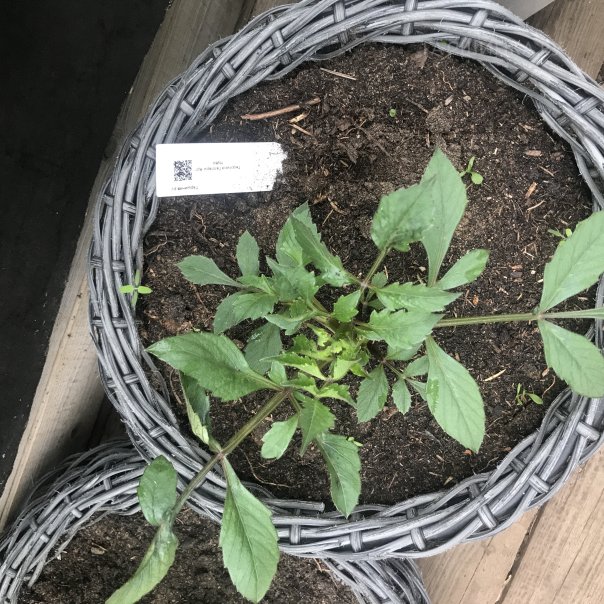 превью изображения отзыва