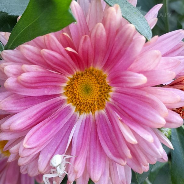 превью изображения отзыва