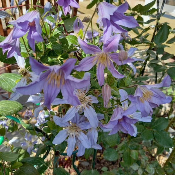 превью изображения отзыва