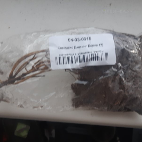 превью изображения отзыва