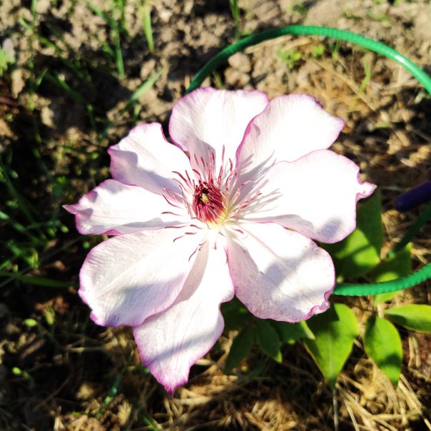 превью изображения отзыва