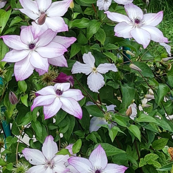 превью изображения отзыва