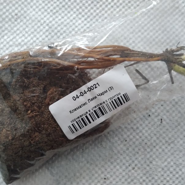 превью изображения отзыва