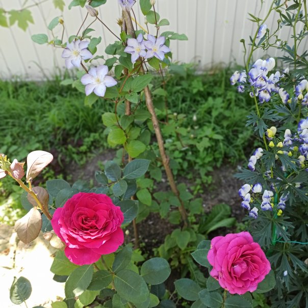 превью изображения отзыва