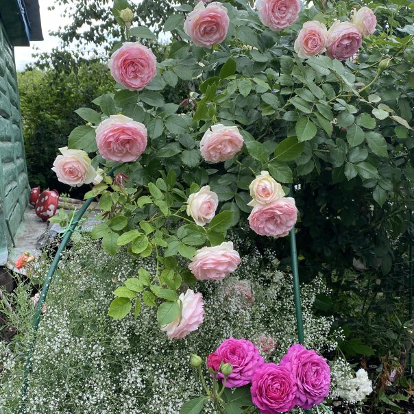 превью изображения отзыва