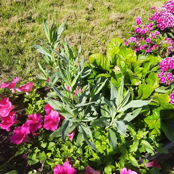 превью изображения отзыва