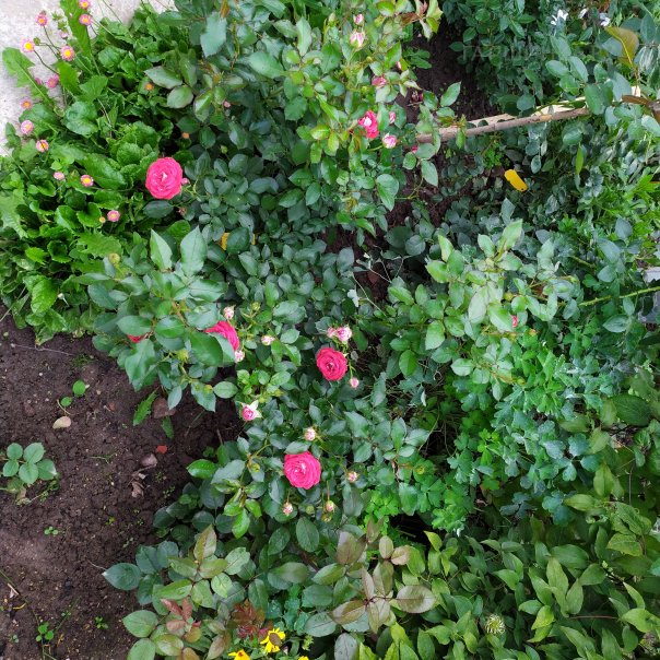 превью изображения отзыва