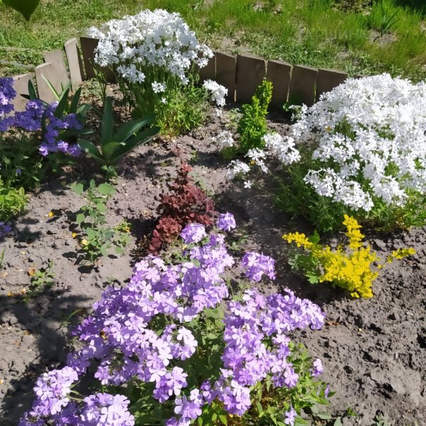 превью изображения отзыва