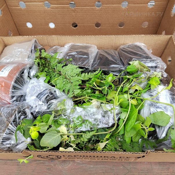 превью изображения отзыва