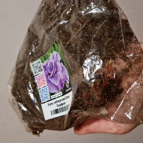 превью изображения отзыва