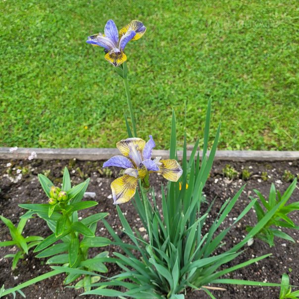 превью изображения отзыва