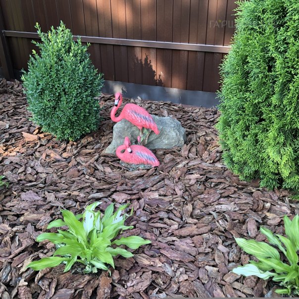 превью изображения отзыва