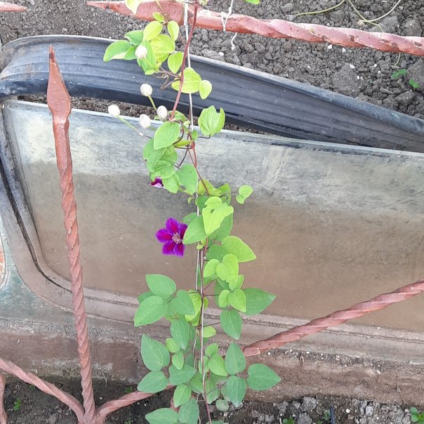 превью изображения отзыва