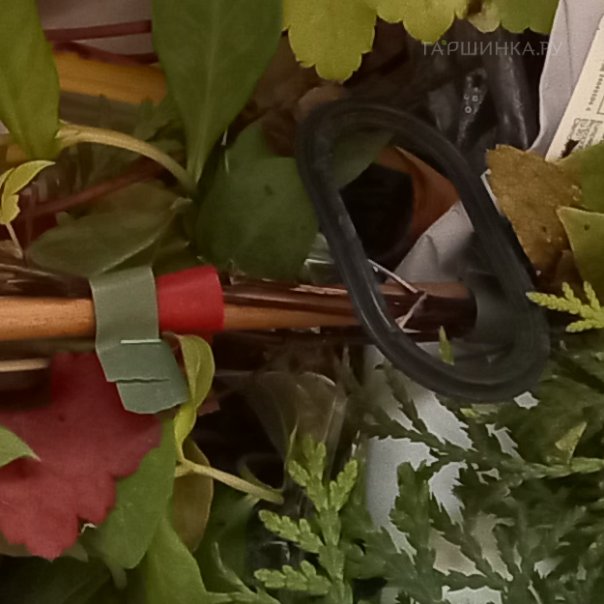 превью изображения отзыва