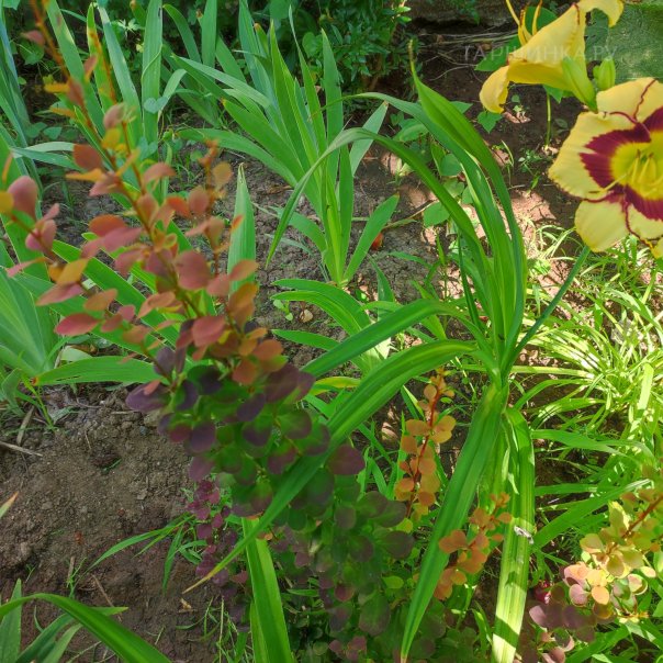 превью изображения отзыва