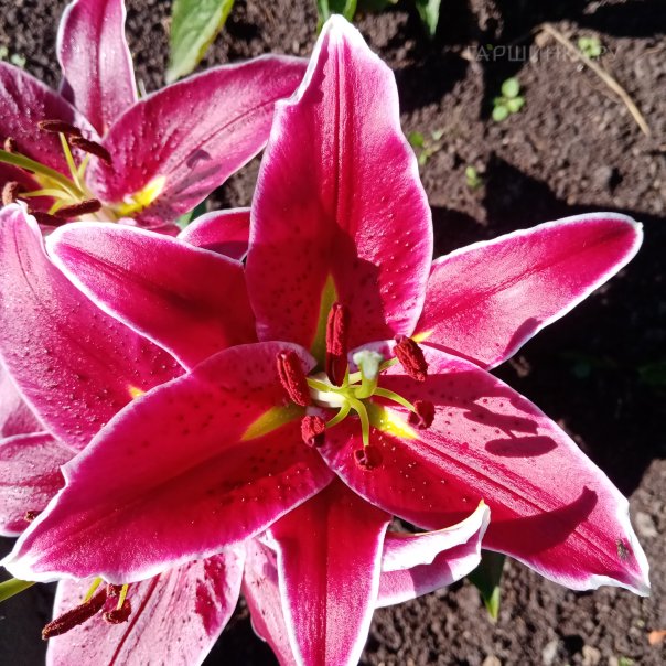 превью изображения отзыва