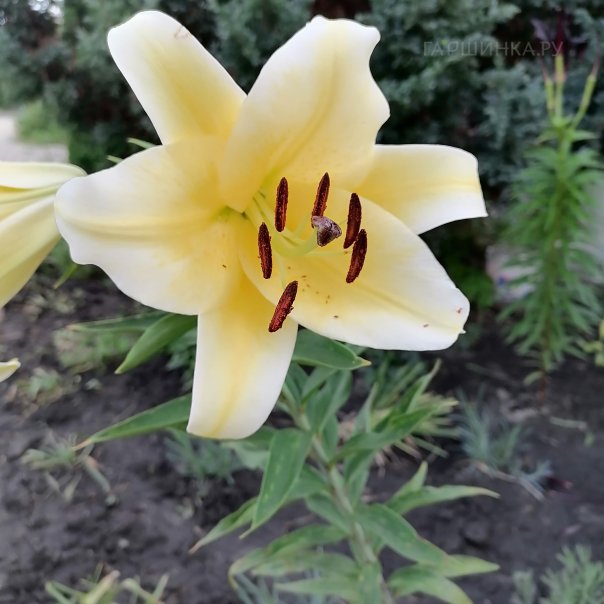 превью изображения отзыва