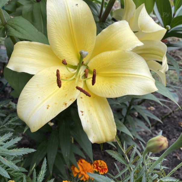 превью изображения отзыва