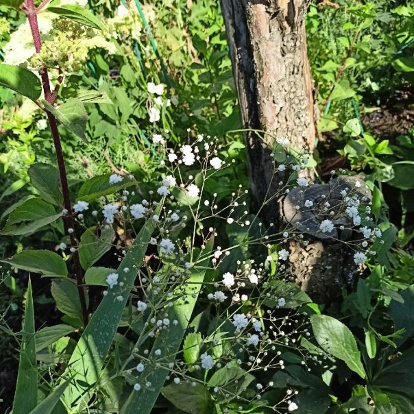 превью изображения отзыва