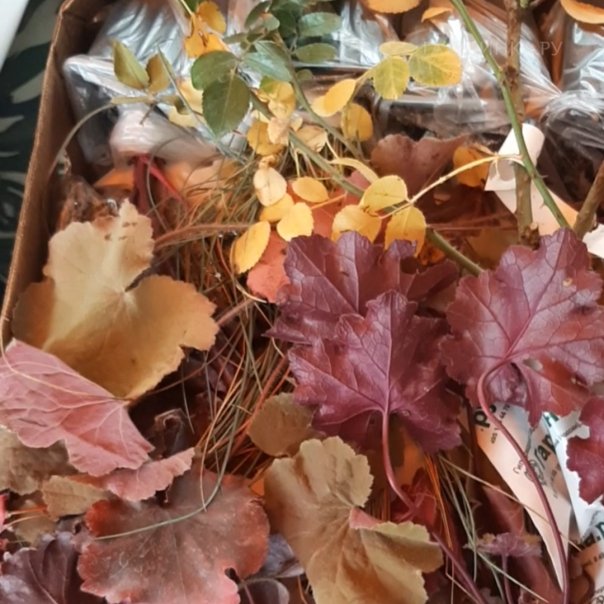 превью изображения отзыва