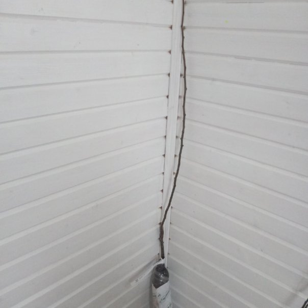 превью изображения отзыва