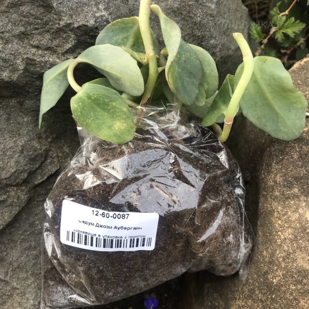 превью изображения отзыва