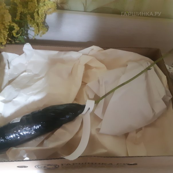 превью изображения отзыва