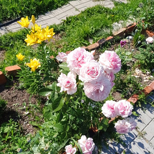 превью изображения отзыва