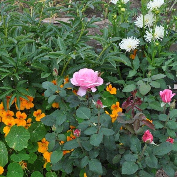 превью изображения отзыва