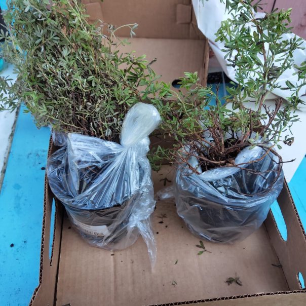 превью изображения отзыва