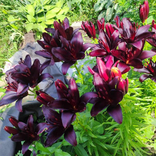 превью изображения отзыва