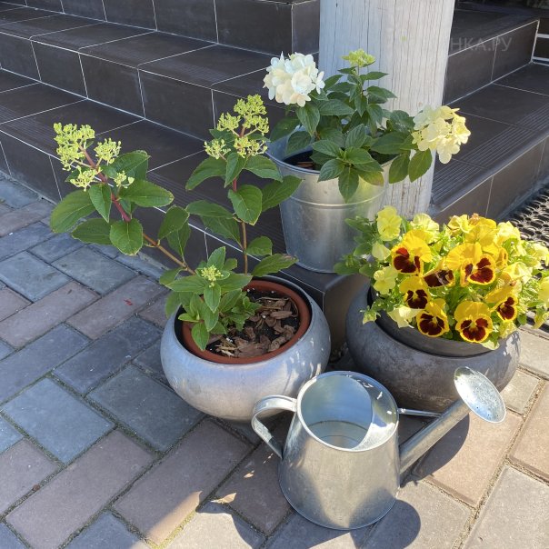 превью изображения отзыва