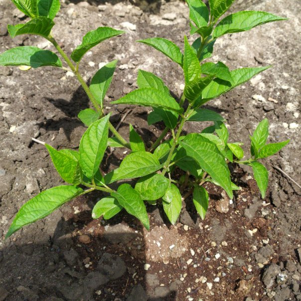 превью изображения отзыва