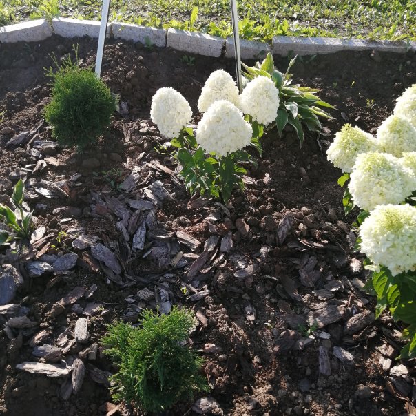 превью изображения отзыва