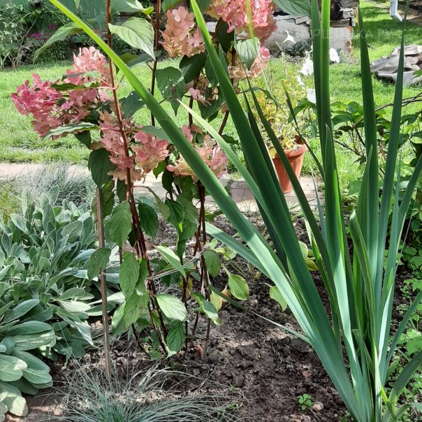 превью изображения отзыва