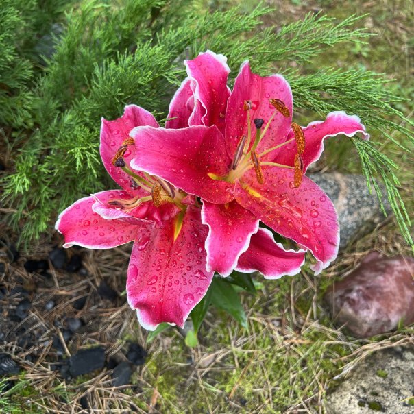 превью изображения отзыва