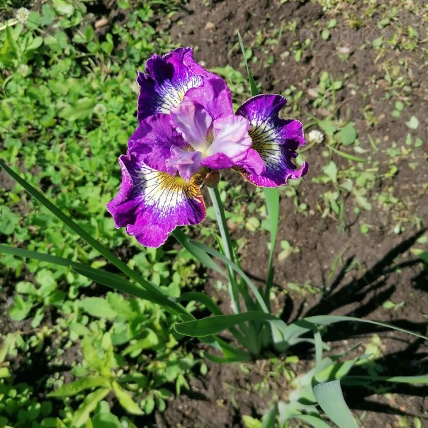 превью изображения отзыва