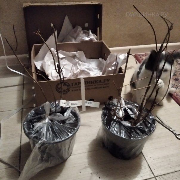 превью изображения отзыва