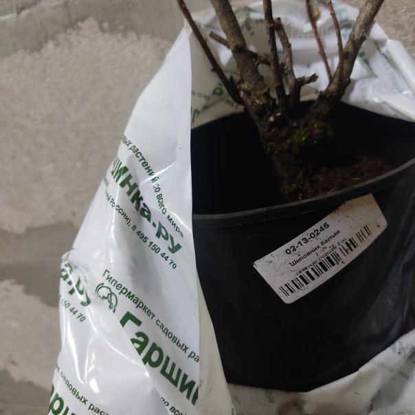 превью изображения отзыва