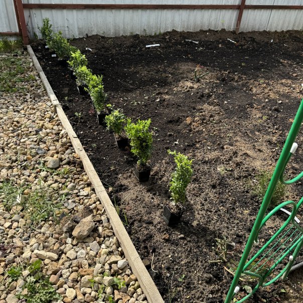 превью изображения отзыва