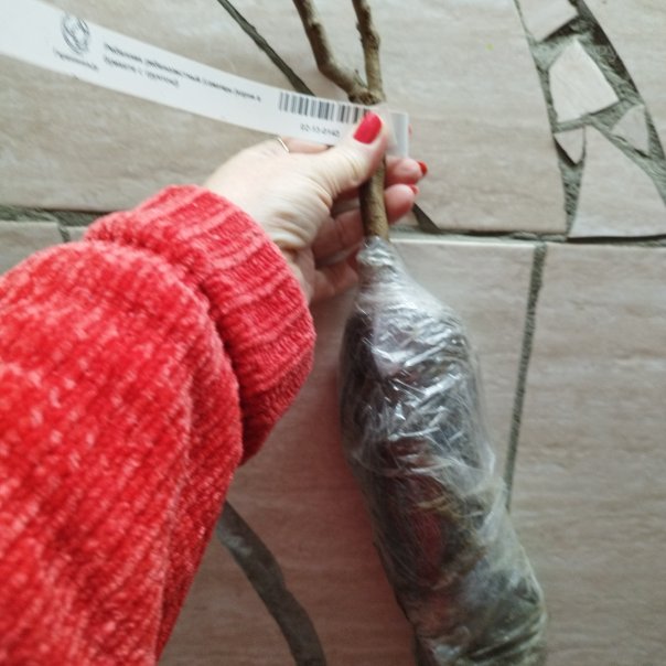 превью изображения отзыва