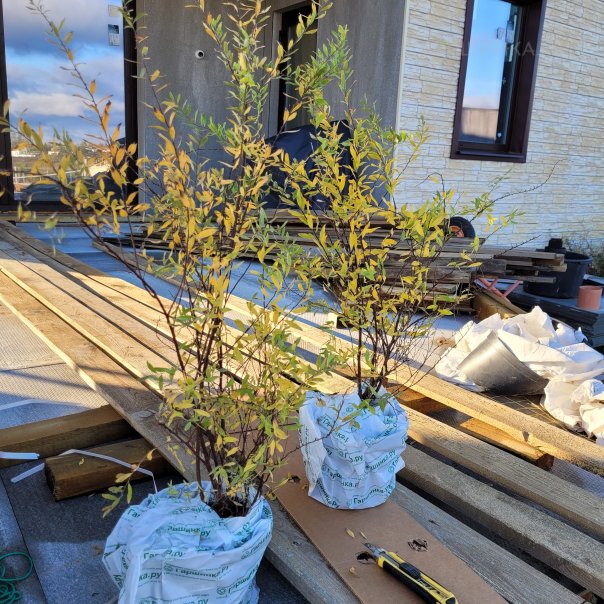 превью изображения отзыва