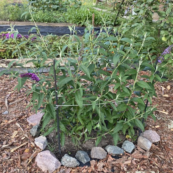 превью изображения отзыва