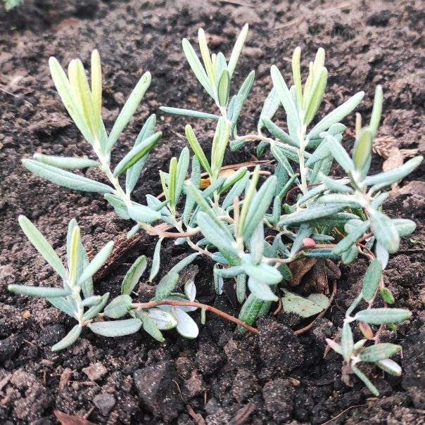 превью изображения отзыва