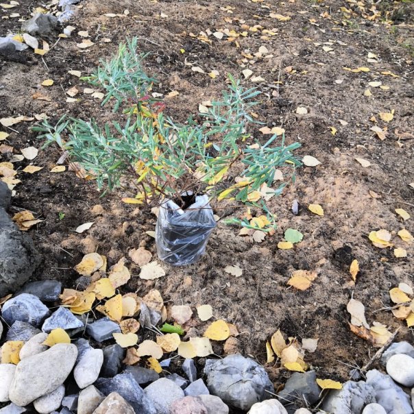 превью изображения отзыва