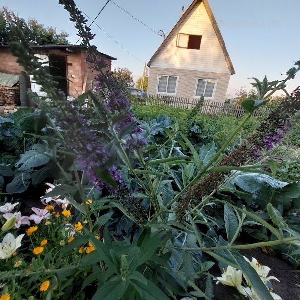 превью изображения отзыва